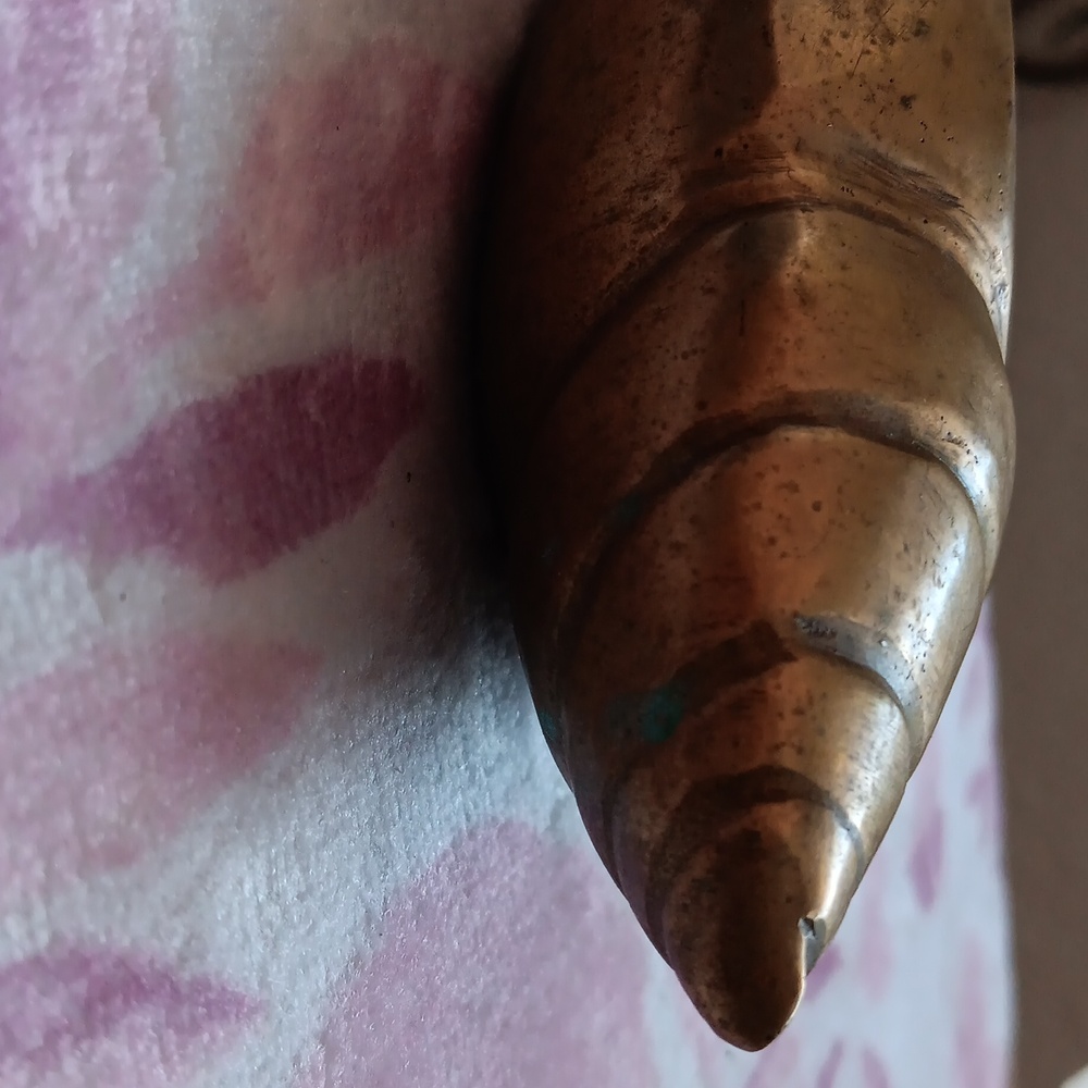 Nautical Sea Shell - Picture 3 of 4